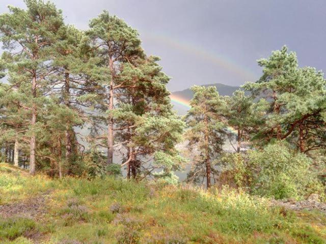 Sognevegen 2242 Apartment Haugsvaer ภายนอก รูปภาพ